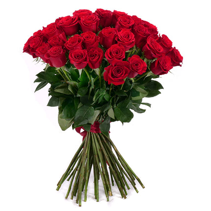 03001943_amore-cervene-ruze-50