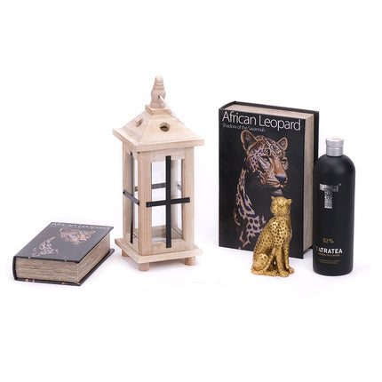 03001977_darkovy-set-african-leopard