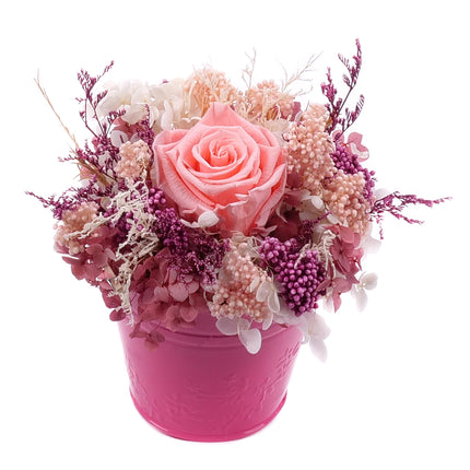 03002068_in-eterno-ruzovy-plechovy-kbelik-monalisa-pink-nectar