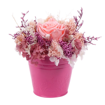 03002068_in-eterno-ruzovy-plechovy-kbelik-monalisa-pink-nectar