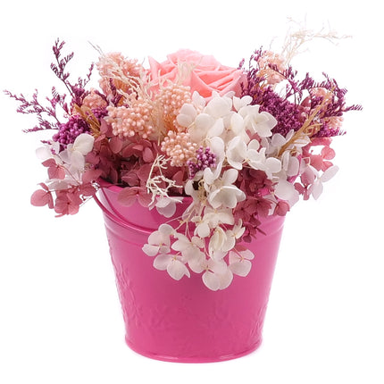 03002068_in-eterno-ruzovy-plechovy-kbelik-monalisa-pink-nectar