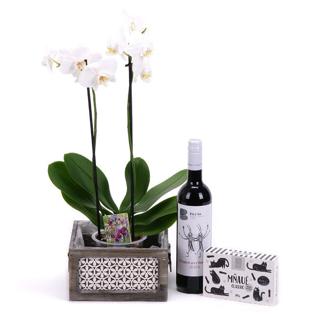 03002116_orchidej-v-drevenem-boxu-a-vino-berta