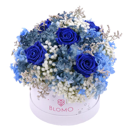 03101530_in-eterno-bily-blomo-box-m-monalisa-sapphire-blue-gypsophila-a-hortenzie