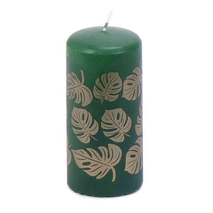 03800789_svicka-valec-zelena-56-120-250g