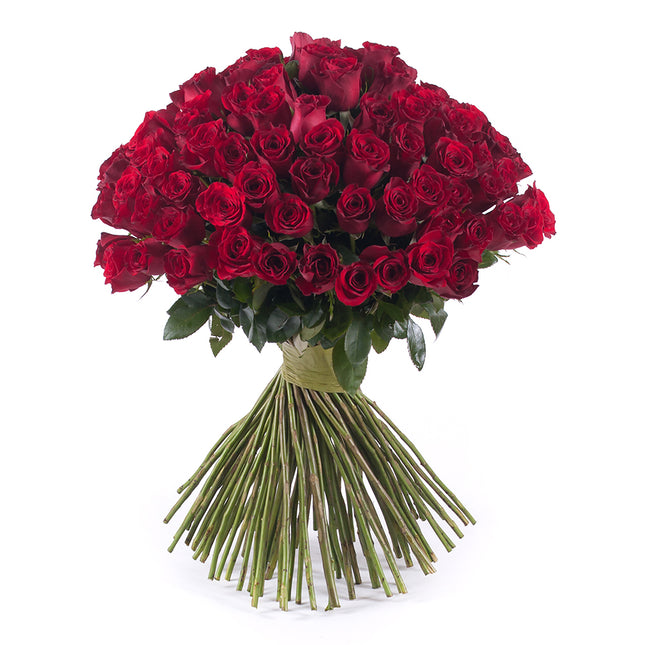 Amore červené růže Grand