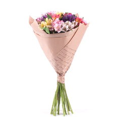 Collection image for: Alstromerie