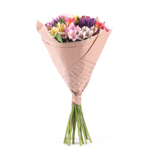 Amore barevné alstromerie