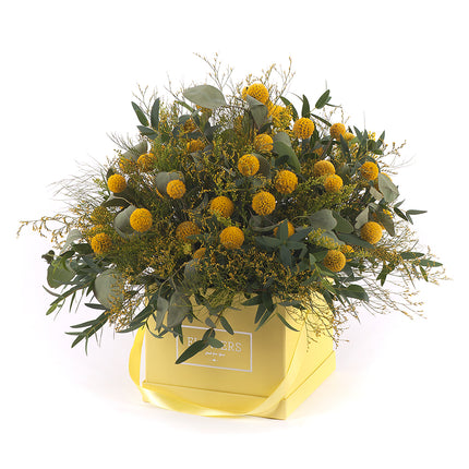 Kytica žltý flower box kocka craspédia