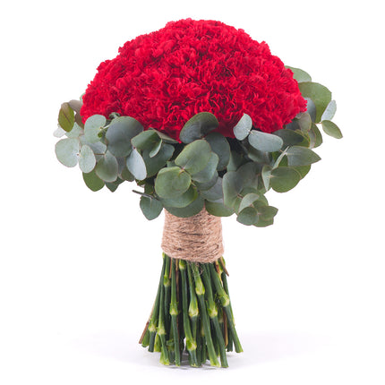 Perla červené karafiáty