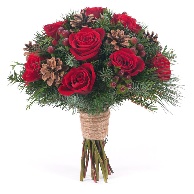 Elite červené růže zima