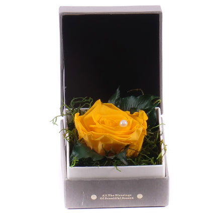 In eterno šedý štvorec FOR YOU žltá ruža