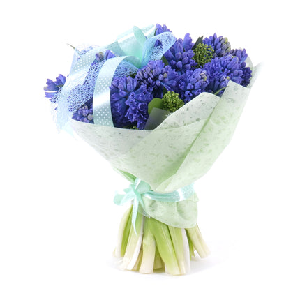 Sweet modré hyacinty