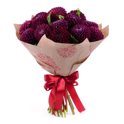 Sweet bordové dáhlie