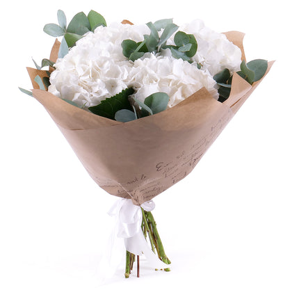 Sweet bílé hortenzie