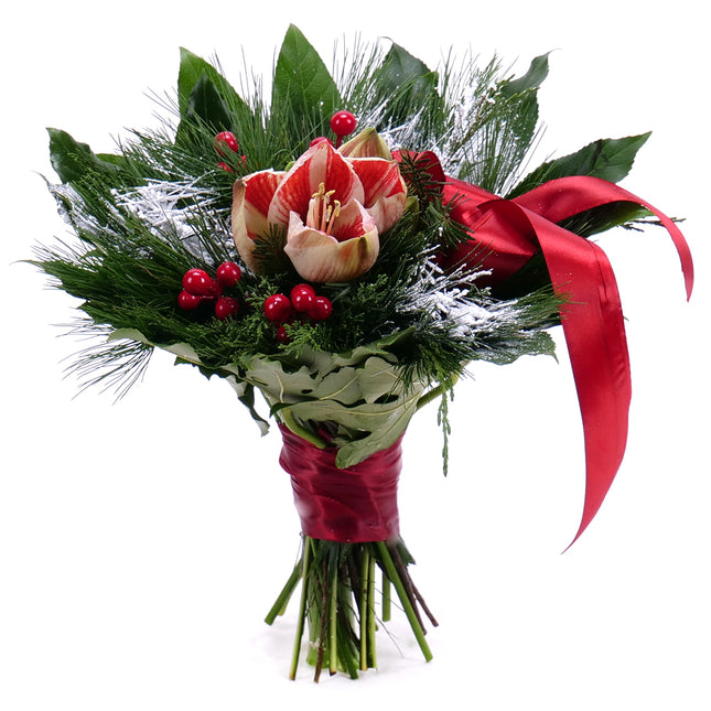 Kytica Zimona 6 melírovaný amarylis