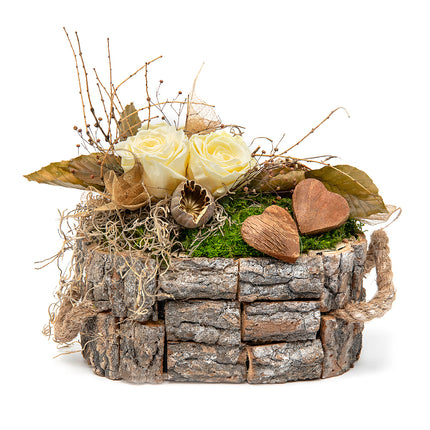 In eterno dřevěný box ovál krémové růže