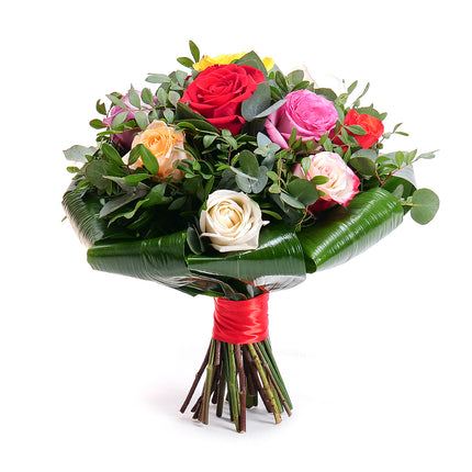 Elite barevné růže