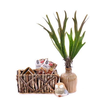 Dárkový dřevěný box dekorační doplňky