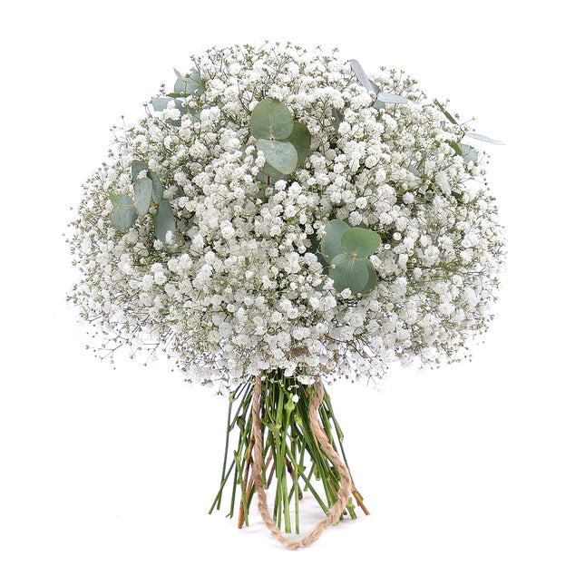 Kytice gypsophila a eukalypt