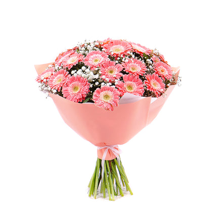 Sweet meruňkové gerbery Chica s gypsophilou