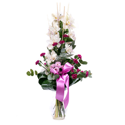 Orchidej bílá na vysoko