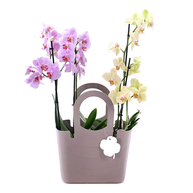 Dárková plastová taška orchideje