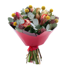 Collection image for: Amarylisy