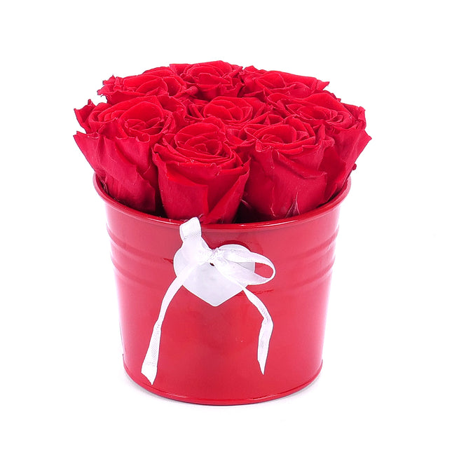 In eterno plechový box 8 růží monalisa red