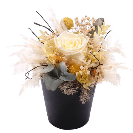 In eterno martini sklenice krémová preparovaná růže