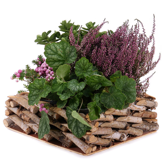 Podzimní dekorace 6