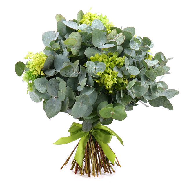 Kytica eukalyptus In eterno tmavo zelená hortenzia