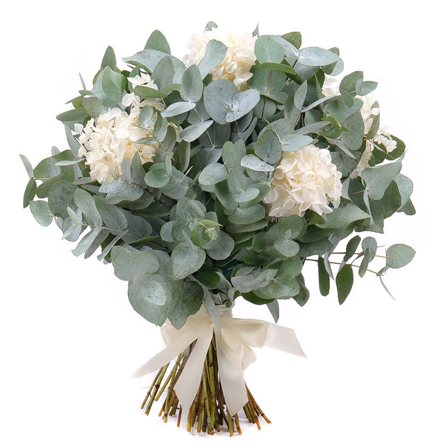 Kytica eukalyptus In eterno biela hortenzia