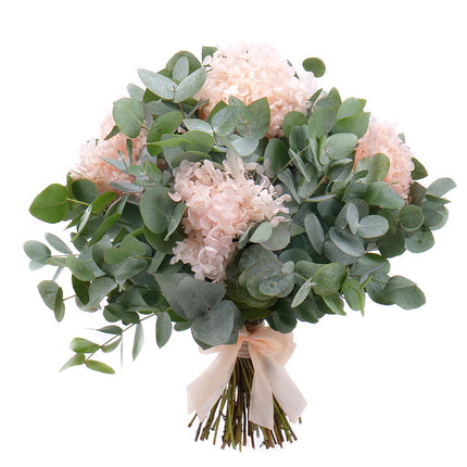 Kytica eukalyptus In eterno marhuľová hortenzia