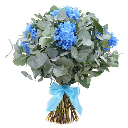 Kytica eukalyptus In eterno modrá hortenzia