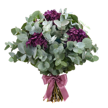 Kytica eukalyptus In eterno tmavo fialová hortenzia