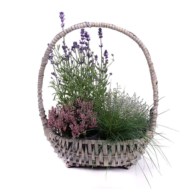 Přírodní aranžmá v proutěném košíku 2