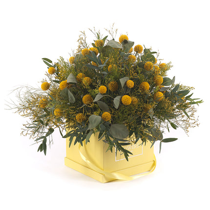 Kytica žltý flower box kocka craspédia