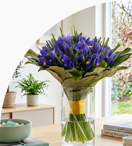 <h5>Modré<br/>Irisy</h5>