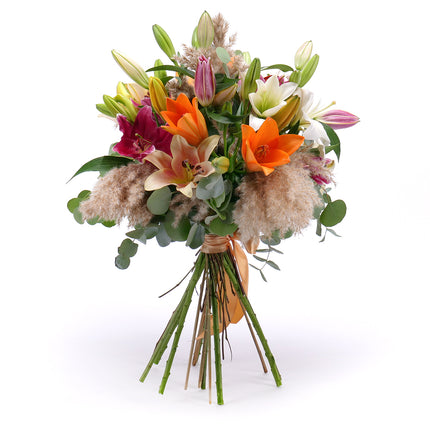 Amore barevné lilie