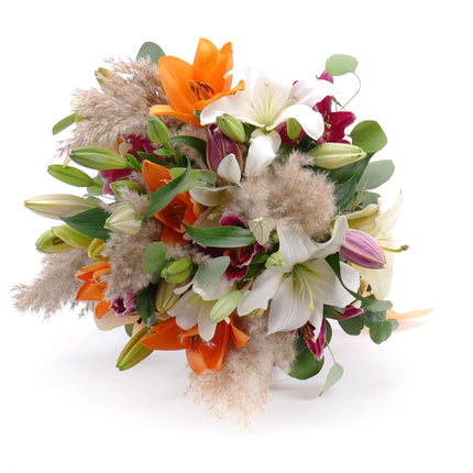 Amore barevné lilie