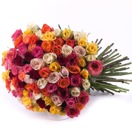 Amore barevné růže Grand
