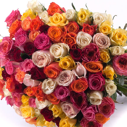 Amore barevné růže Grand