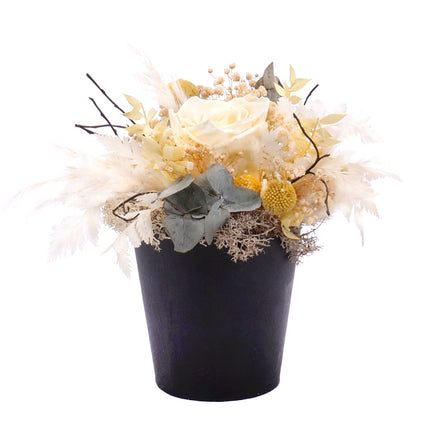 In eterno martini sklenice krémová preparovaná růže