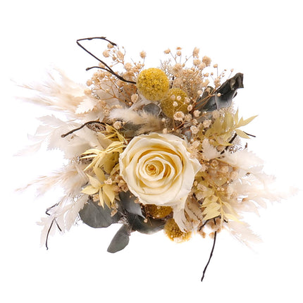 In eterno martini sklenice krémová preparovaná růže