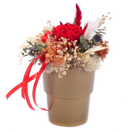 In eterno keramický box červená růže Monalisa red