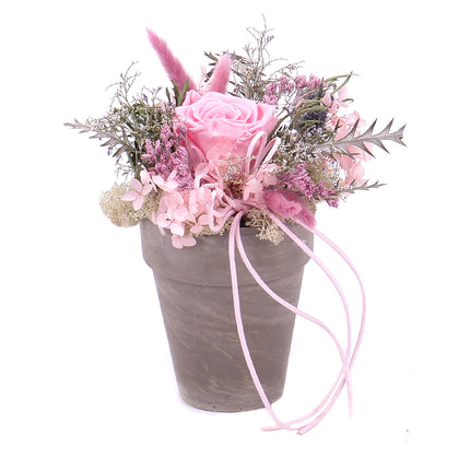 In eterno keramický box růžová růže Monalisa baby pink