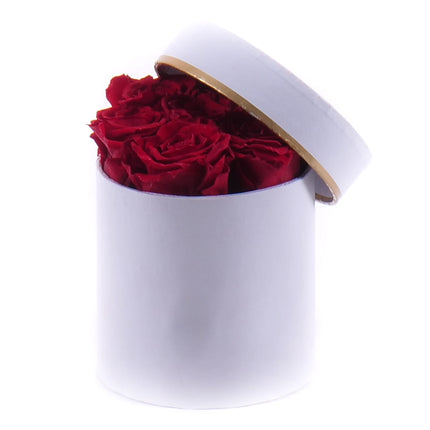In eterno biely okrúhly box 7 červených ruží