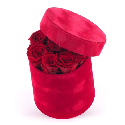 In eterno červený zamatový  okrúhly box červené ruže