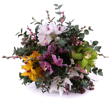 Sweet farebné orchidey a bahniatka