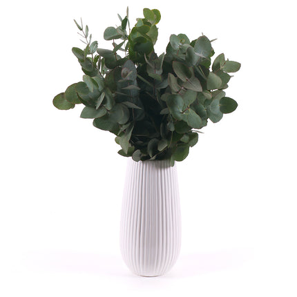 DIY kytice - Eukalyptus Cinerea do vázy